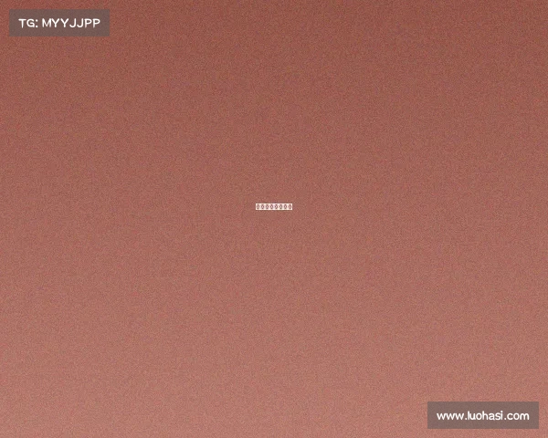 小黑游戏视频解说